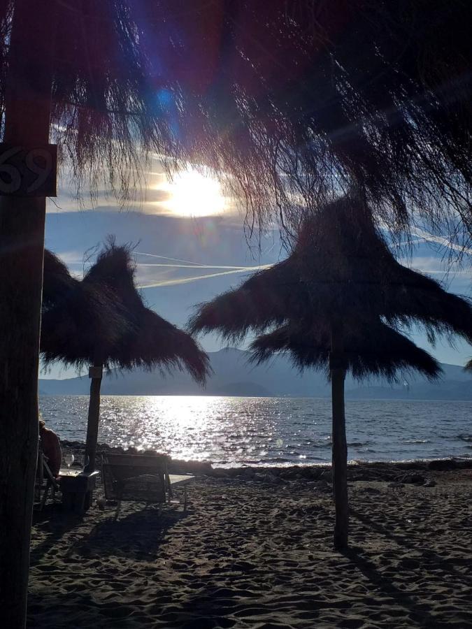La Casa Di Marco, Holidays, Sea And Nature 蒙蒂亚诺 外观 照片