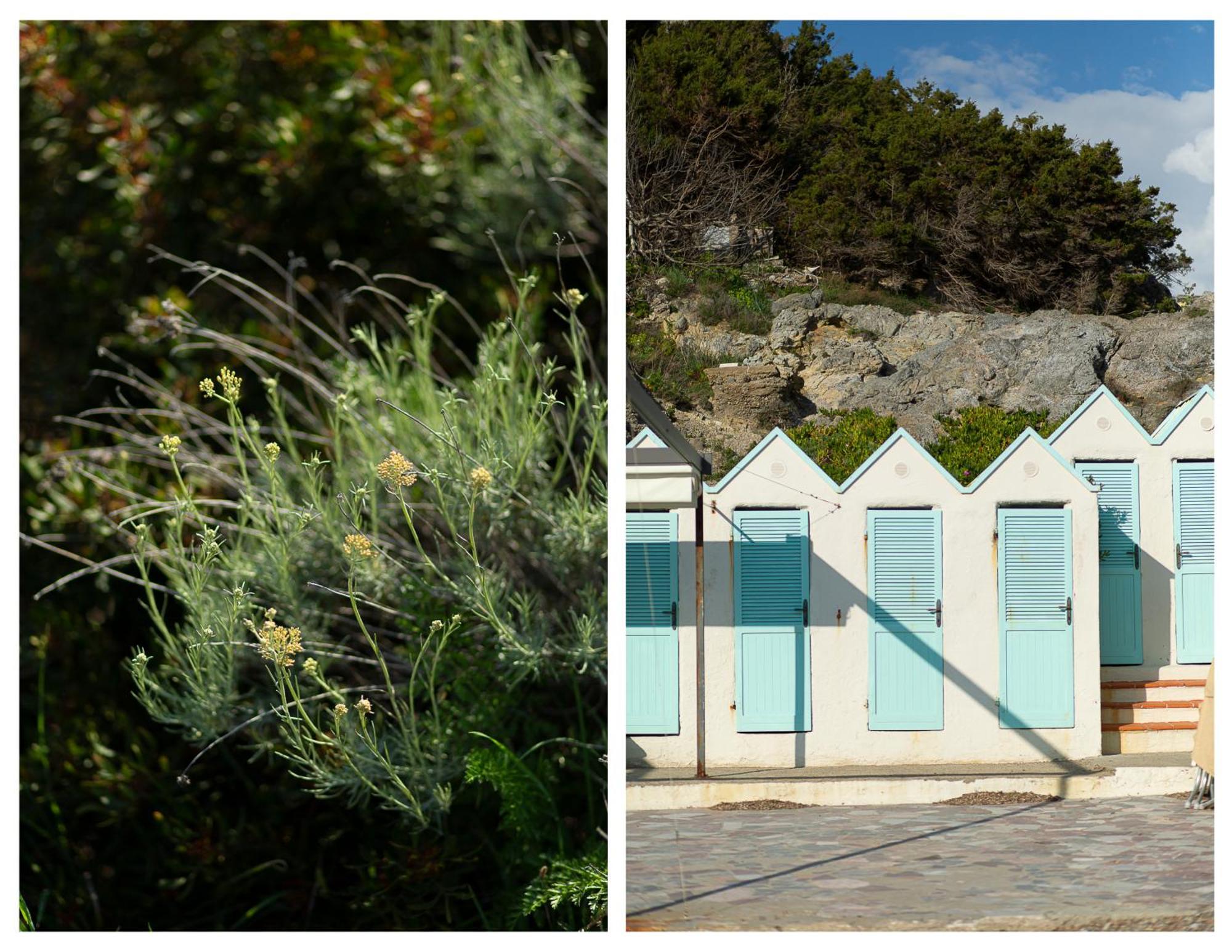 La Casa Di Marco, Holidays, Sea And Nature 蒙蒂亚诺 外观 照片